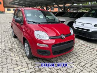 FIAT Panda usata, con Airbag