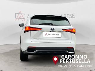LEXUS NX 300 usata, con Alzacristalli elettrici