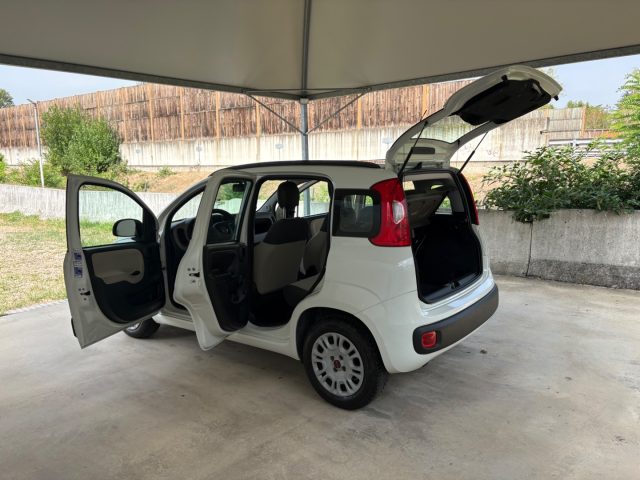 FIAT Panda usata 46