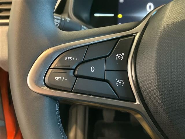 RENAULT Clio usata 16