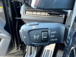 PEUGEOT 3008 usata 20