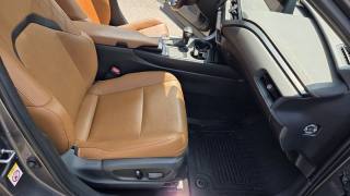 LEXUS UX 250h usata, con Controllo automatico clima