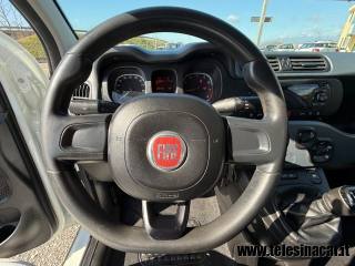 FIAT Panda usata 15