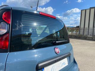 FIAT Panda Cross usata 29