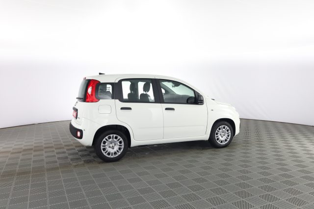 FIAT Panda usata 2