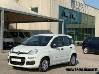 FIAT Panda usata 1