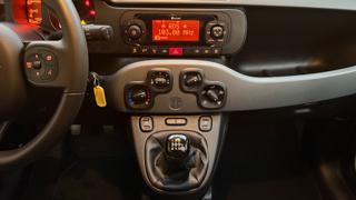 FIAT Panda usata, con Cronologia tagliandi