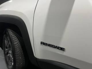 JEEP Renegade usata, con Cruise Control