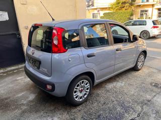 FIAT Panda usata, con Antifurto