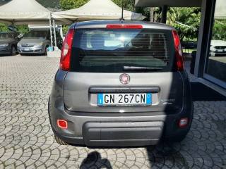 FIAT Panda usata, con Immobilizzatore elettronico
