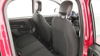 FIAT Pandina usata 20