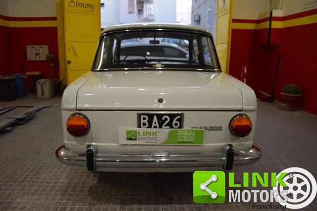 FIAT 1100 usata 12