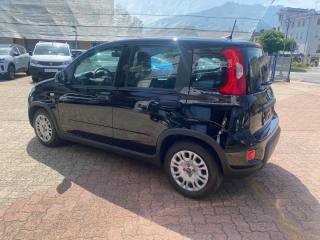 FIAT Panda usata, con Chiusura centralizzata