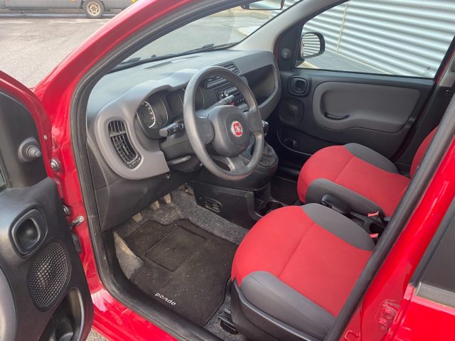 FIAT Panda usata 21