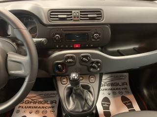 FIAT Panda usata, con Controllo trazione