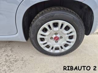 FIAT Panda usata, con Luce d