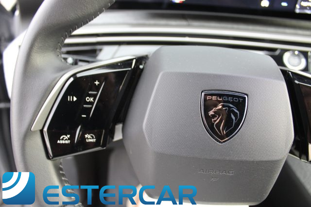 PEUGEOT 3008 usata, con Sistema di navigazione