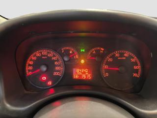 FIAT Punto usata 15