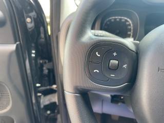 FIAT Panda usata, con Controllo vocale
