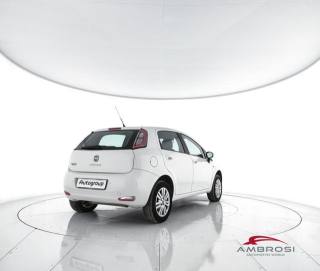 FIAT Punto usata 2