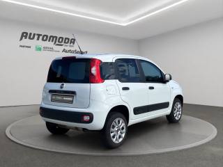 FIAT Panda usata, con Airbag Passeggero
