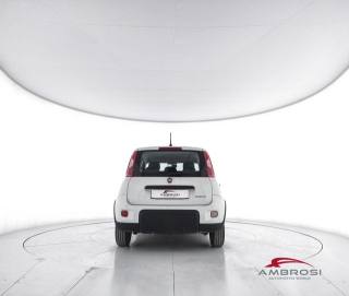 FIAT Panda usata 5