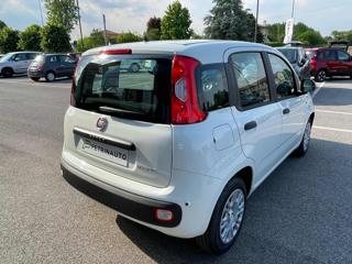 FIAT Panda usata, con Climatizzatore