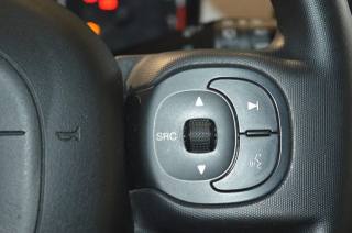 FIAT Panda Cross usata, con Servosterzo