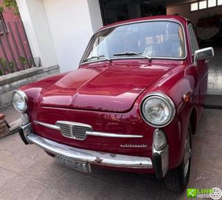 AUTOBIANCHI Bianchina usata 25