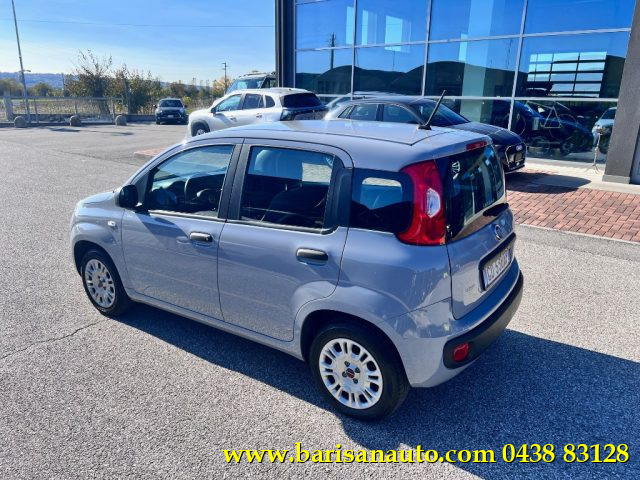 FIAT Panda usata, con Alzacristalli elettrici