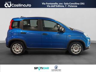 FIAT Panda usata, con Antifurto