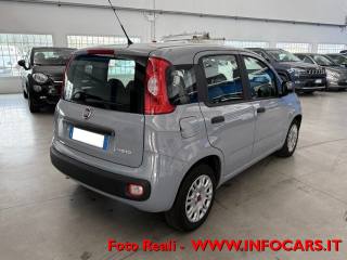 FIAT Panda usata, con Alzacristalli elettrici