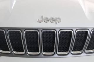 JEEP Renegade usata, con Bracciolo