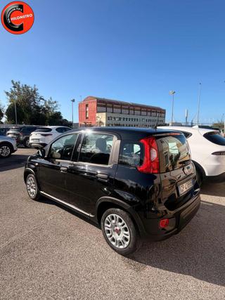 FIAT Panda usata, con Alzacristalli elettrici