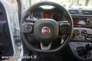 FIAT Panda usata, con Servosterzo