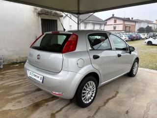 FIAT Punto usata, con Airbag Passeggero
