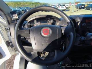 FIAT  usata 14