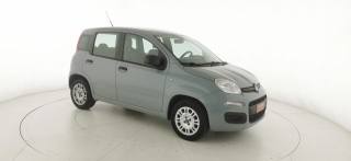 FIAT Panda usata 20