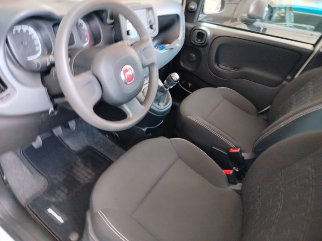 FIAT Panda usata 16