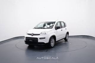 FIAT New Panda 1.0 FireFly 70cv S&S Hybrid