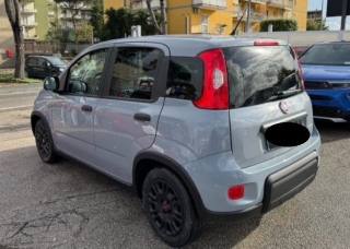 FIAT Panda usata, con Airbag