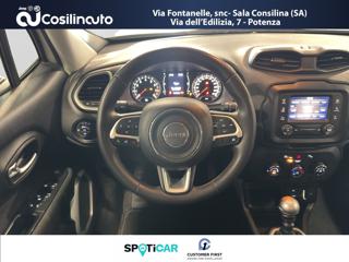 JEEP Renegade usata, con ESP