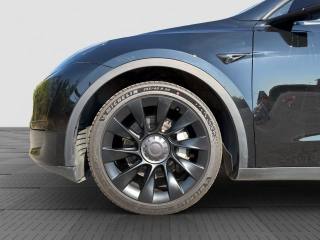 TESLA Model Y usata 15