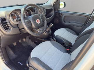FIAT Panda Cross usata, con Controllo trazione