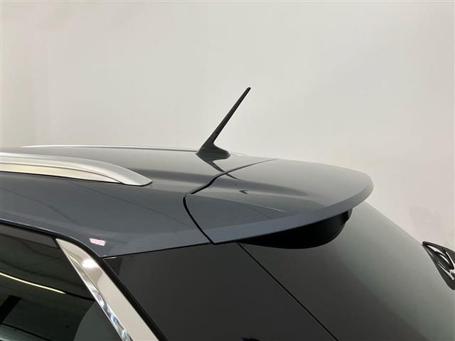 RENAULT Megane usata 16