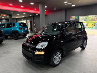 FIAT Pandina usata, con Sistema di avviso di distanza