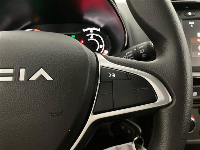 DACIA Spring usata 17