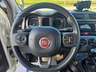 FIAT Panda usata, con Controllo trazione