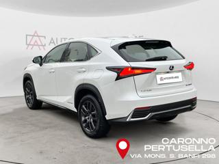 LEXUS NX 300 usata, con Airbag laterali