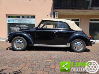VOLKSWAGEN Maggiolone usata 17